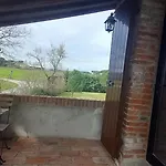 2 Girasoli Primo Piano Sanfatucchio