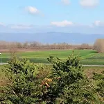 2 Girasoli Primo Piano * Sanfatucchio