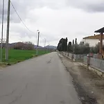 2 Girasoli Primo Piano *