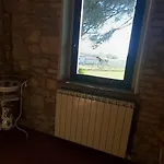 2 Girasoli Primo Piano Sanfatucchio