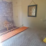2 Girasoli Primo Piano * Sanfatucchio