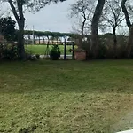 2 Girasoli Primo Piano