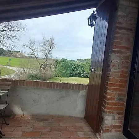 2 Girasoli Primo Piano Sanfatucchio