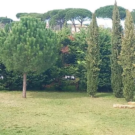 2 Girasoli Primo Piano