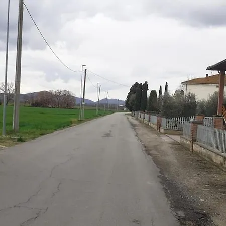 2 Girasoli Primo Piano *