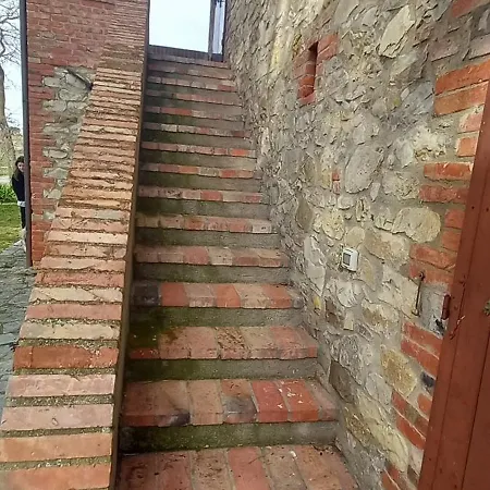 2 Girasoli Primo Piano * Sanfatucchio