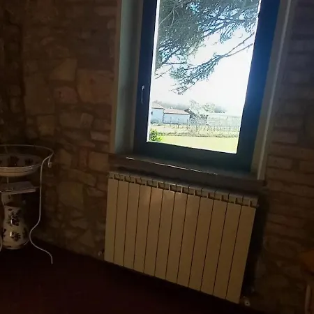 2 Girasoli Primo Piano Sanfatucchio