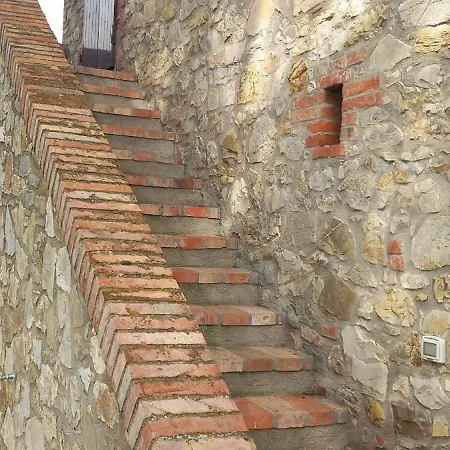 2 Girasoli Primo Piano