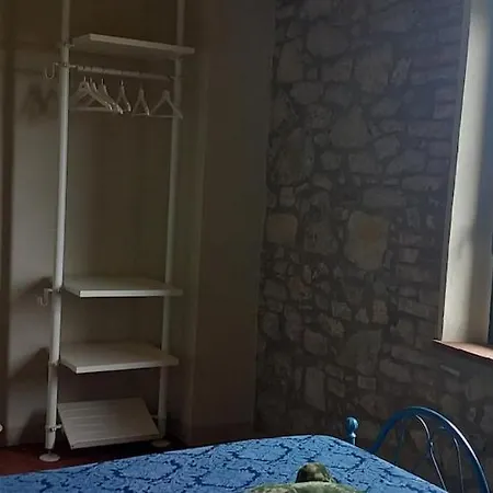 2 Girasoli Primo Piano Sanfatucchio