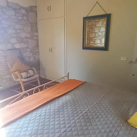 2 Girasoli Primo Piano * Sanfatucchio