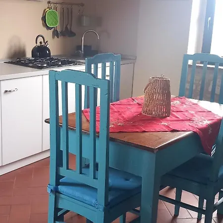 2 Girasoli Primo Piano Sanfatucchio