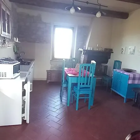 2 Girasoli Primo Piano * Sanfatucchio