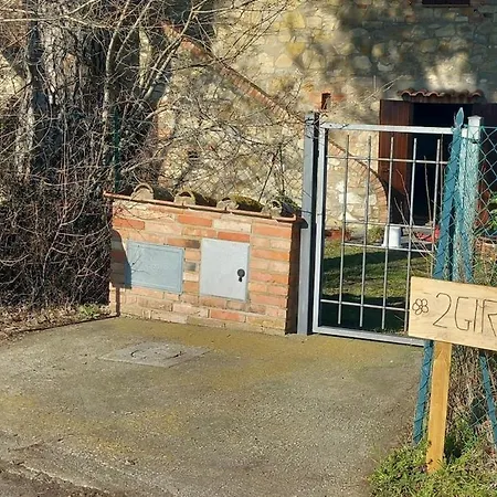 2 Girasoli Primo Piano *