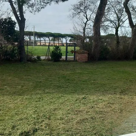 2 Girasoli Primo Piano