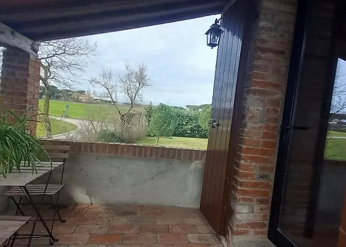 2 Girasoli Primo Piano Sanfatucchio