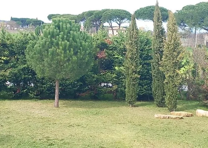 2 Girasoli Primo Piano