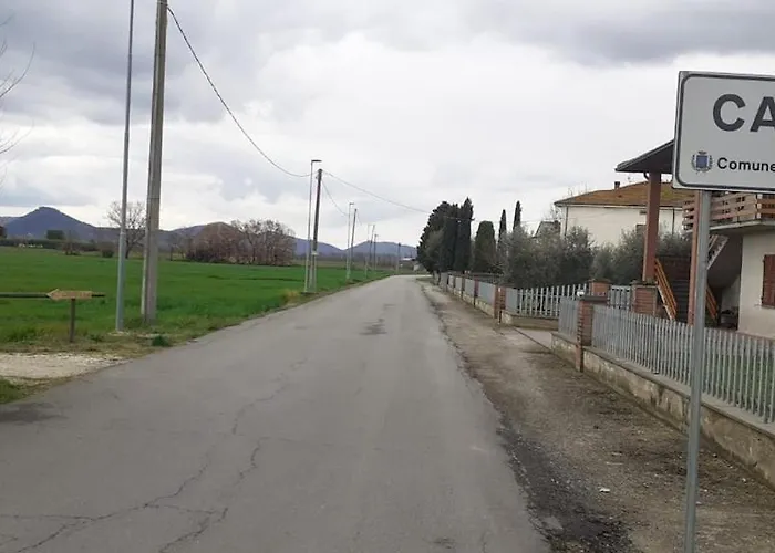 2 Girasoli Primo Piano *