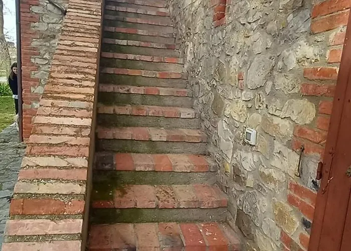 2 Girasoli Primo Piano * Sanfatucchio