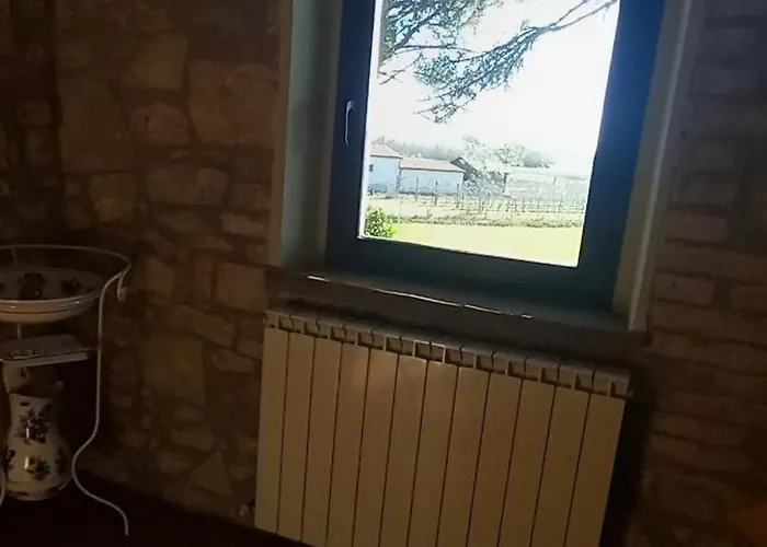 2 Girasoli Primo Piano Sanfatucchio