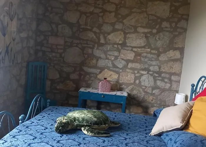 2 Girasoli Primo Piano *