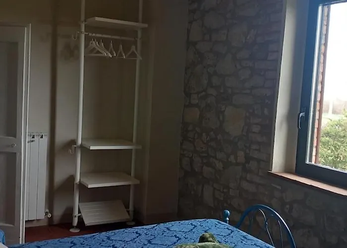 2 Girasoli Primo Piano Sanfatucchio