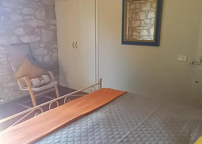 2 Girasoli Primo Piano * Sanfatucchio