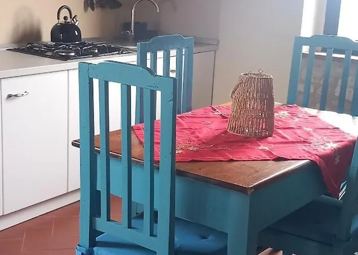 2 Girasoli Primo Piano Sanfatucchio