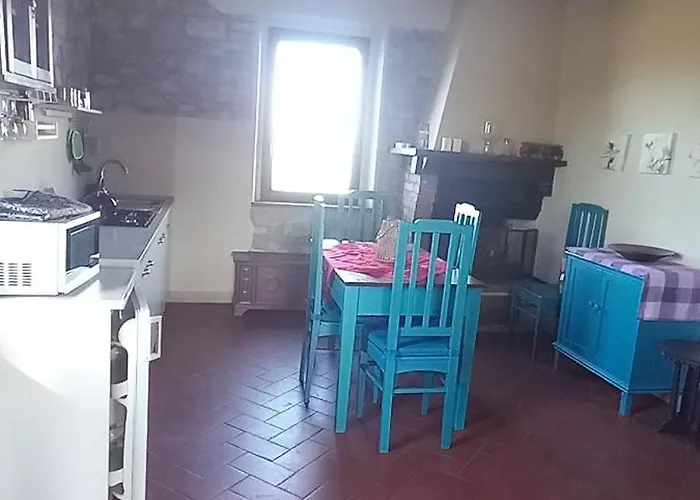 2 Girasoli Primo Piano * Sanfatucchio