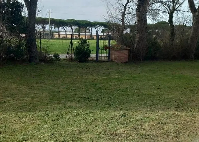 2 Girasoli Primo Piano